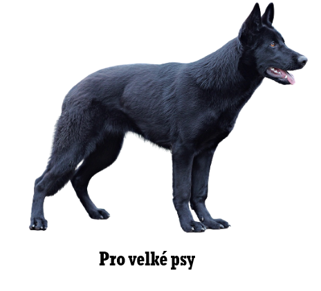 pro velke psy